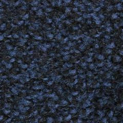 Blue Carpet Mat
